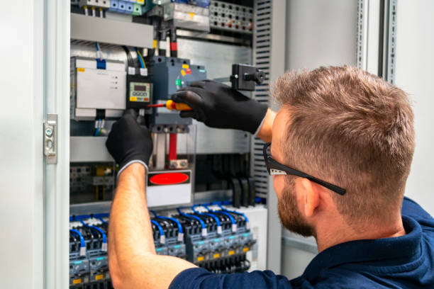 Best Electrical Rewiring Services  in Vandercook Lake, MI
