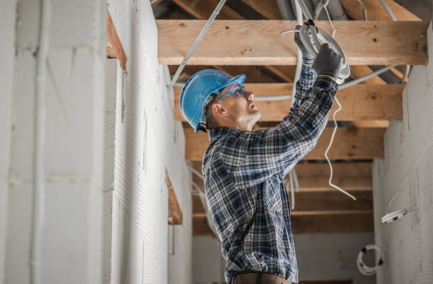 Best Home Electrical Repair  in Vandercook Lake, MI