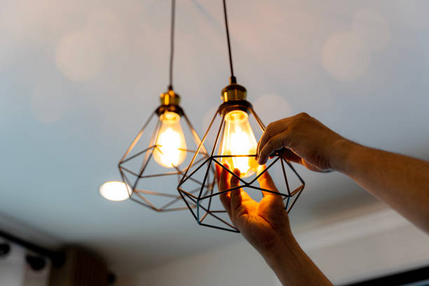 Best Residential Electrician Services  in Vandercook Lake, MI